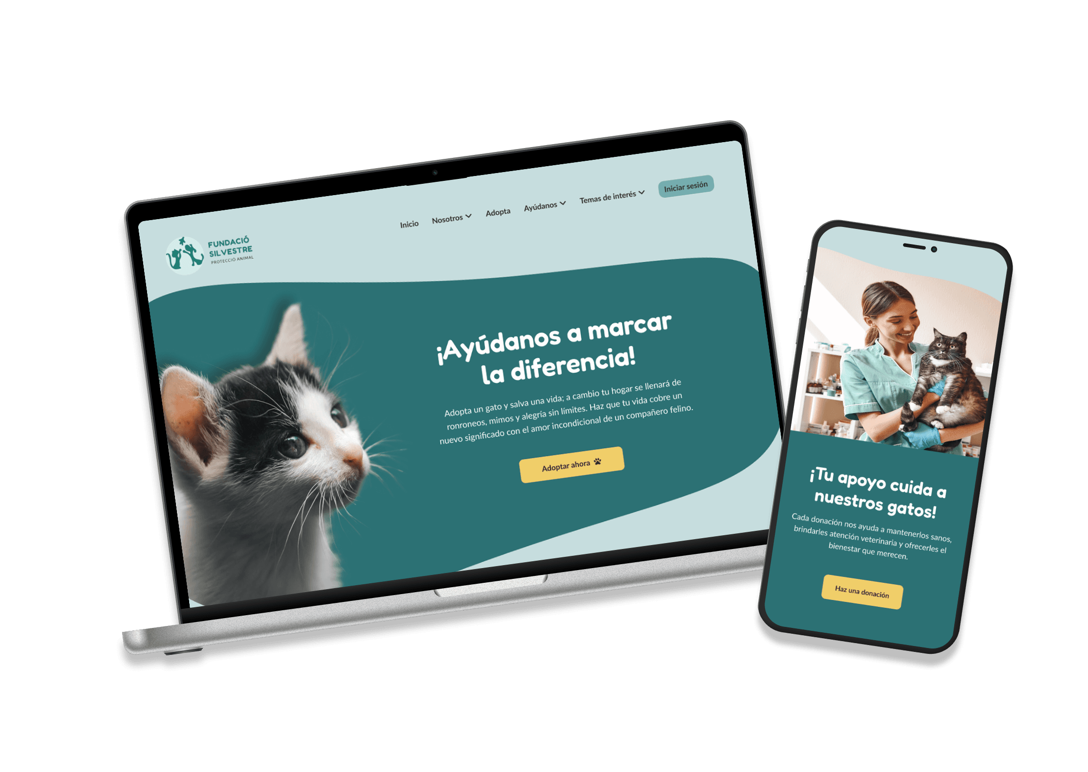 Pet Shelter redesign project showcase
