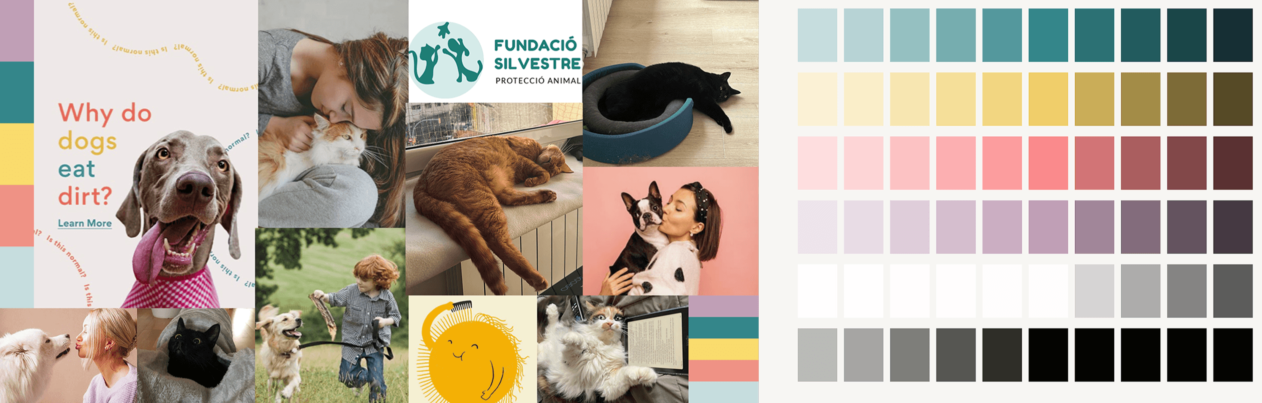 Pet shelter mood board and color palette